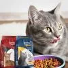 Custom Printed Compostable Pet Food Bag for Dry Pet Food (5 kg) — flat bottom bag in PLA / PBAT compostable laminate with hang hole, view 2