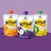 Custom Printed Compostable Spout Pouch for Juice No. 7 — spout pouch in PLA / PBAT compostable laminate with spout