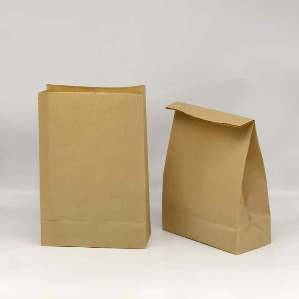 Custom Printed Paper Pouch for Dried Fruit No. 2 — side gusset bag in Kraft paper / PE laminate