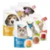 Custom Printed Foil Spout Pouch for Juice — spout pouch in PET / AL / PE laminate with spout
